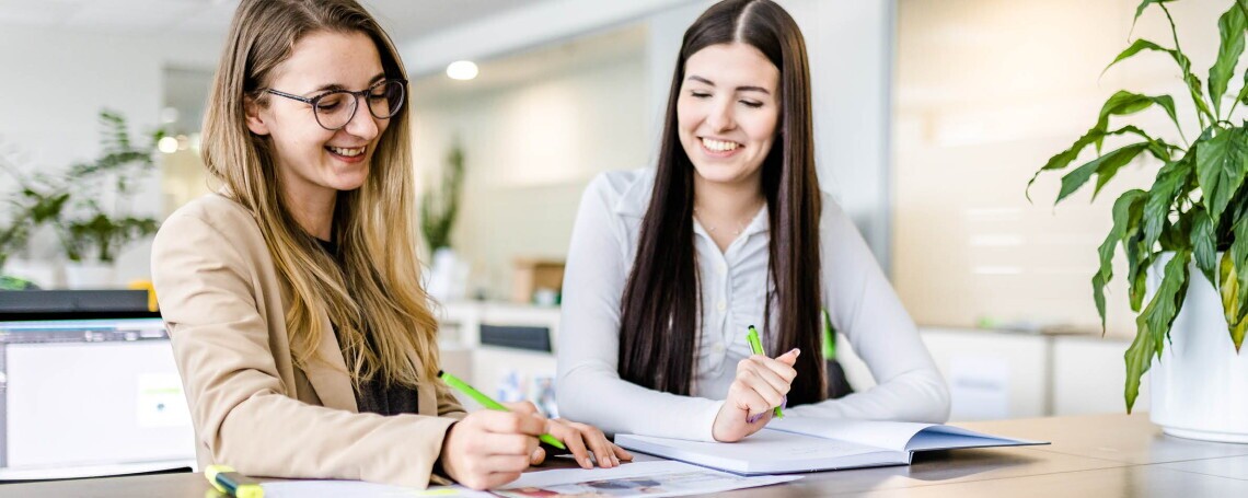 Trainee Beteiligungs-Controlling - ideal für Absolvent:innen der HAK, HBLW (m/w/d), 3. Bild